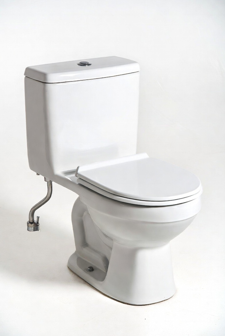 Wall Hung Toilet